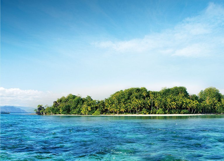 304��������-www.3044.com|�������