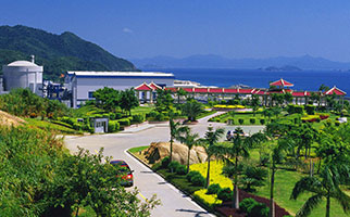 304��������-www.3044.com|�������