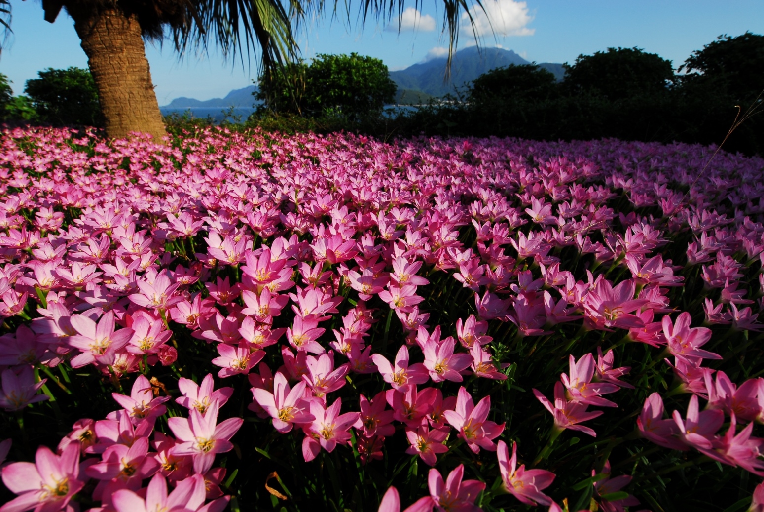 304��������-www.3044.com|�������