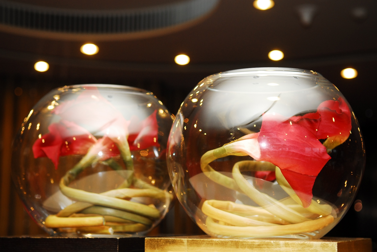 304��������-www.3044.com|�������