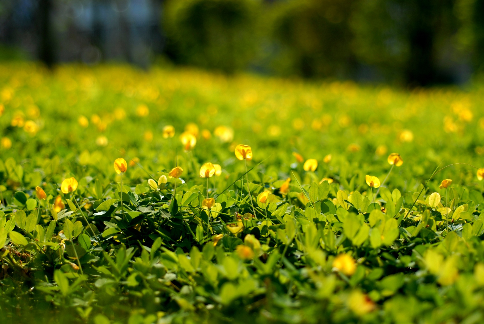 304��������-www.3044.com|�������