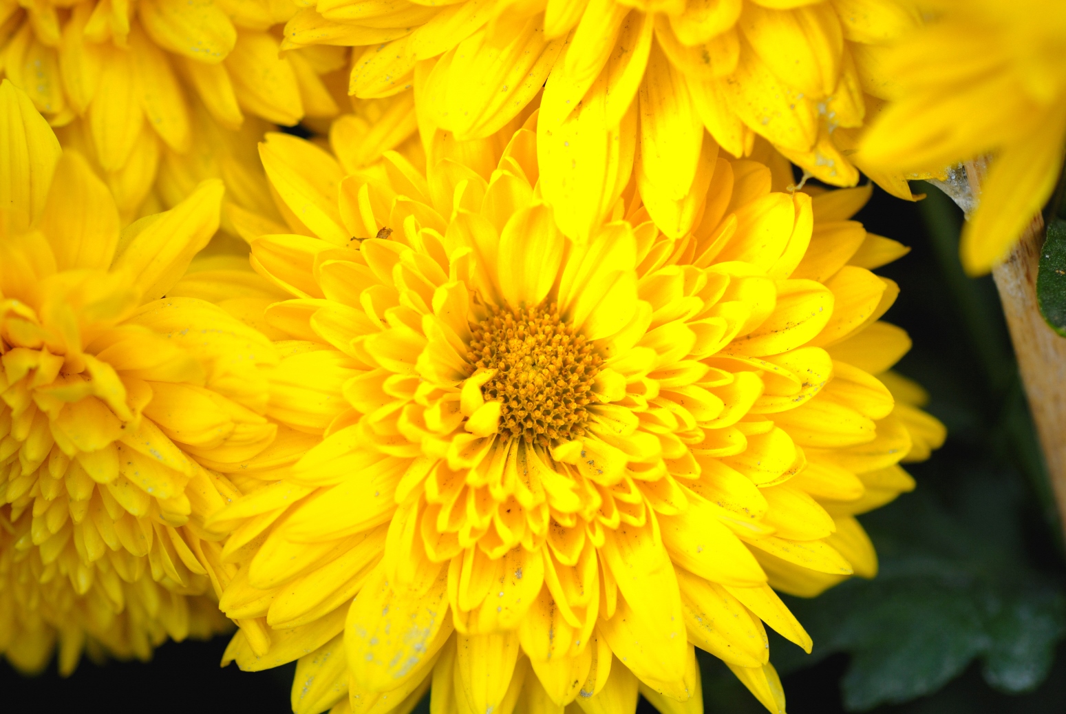 304��������-www.3044.com|�������