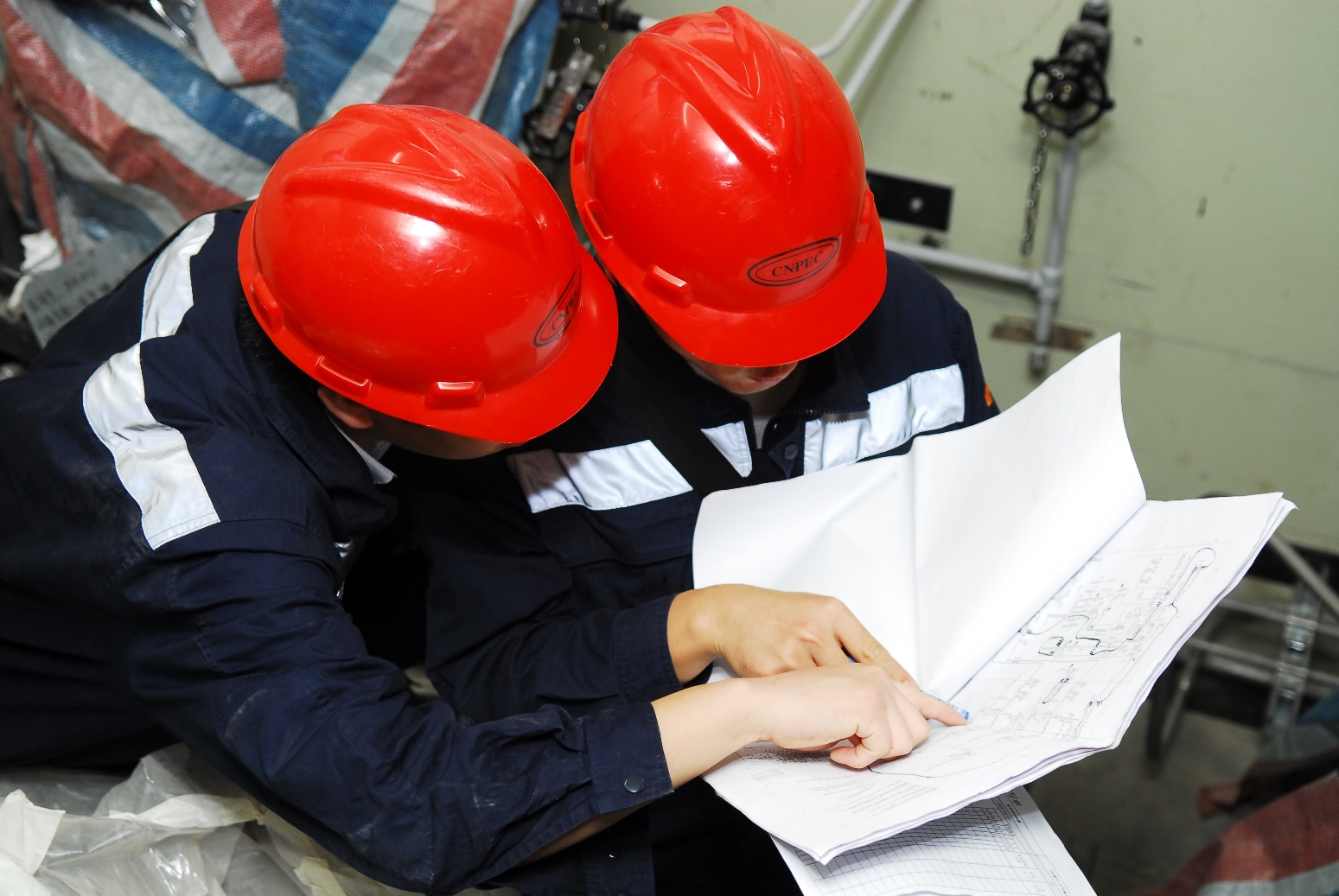 304��������-www.3044.com|�������