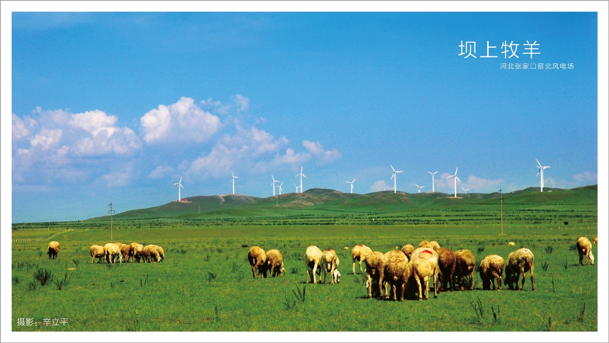 304��������-www.3044.com|�������