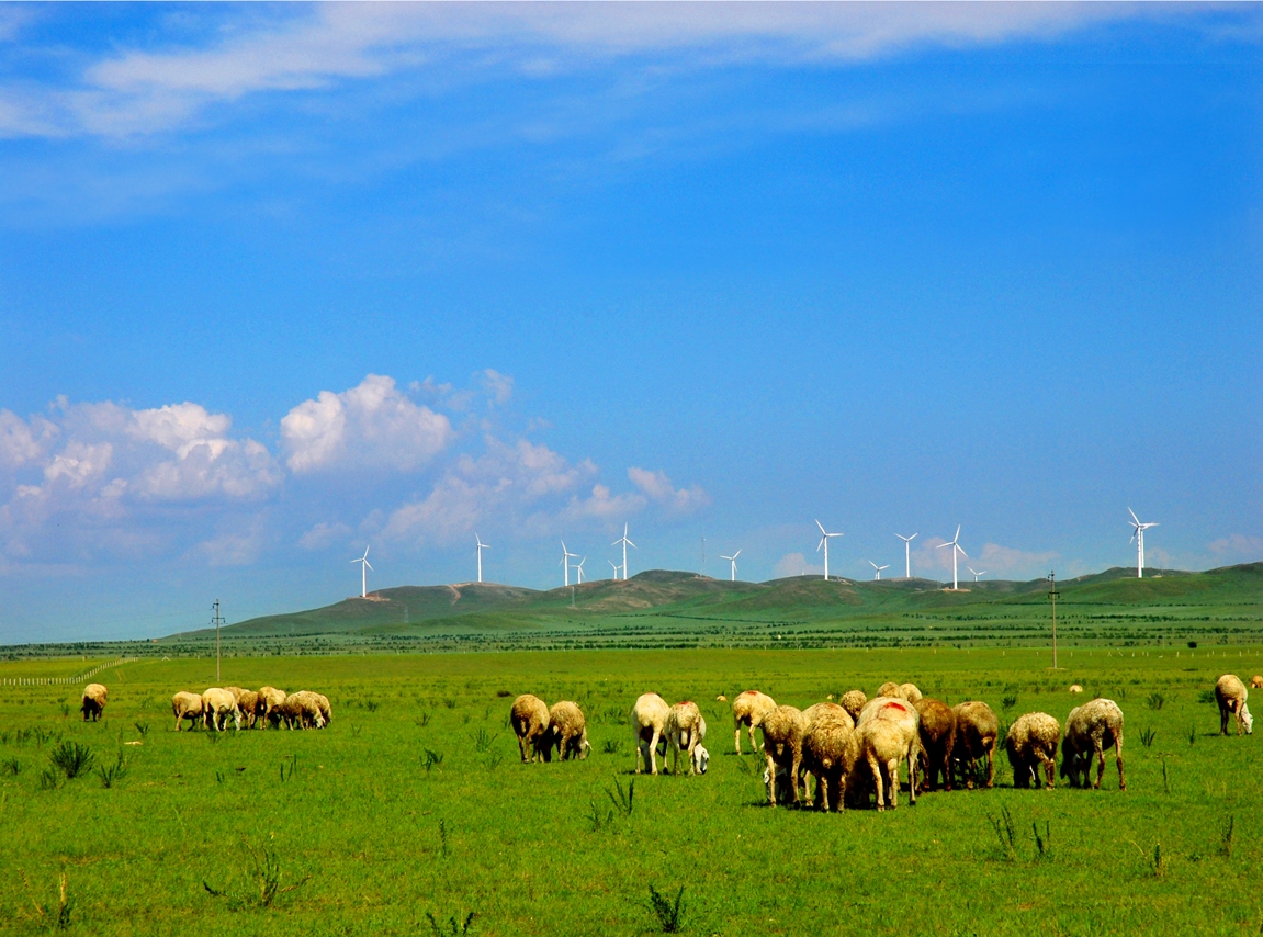 304��������-www.3044.com|�������