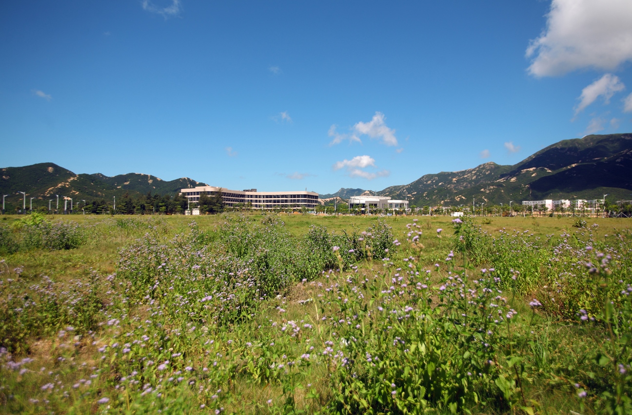 304��������-www.3044.com|�������