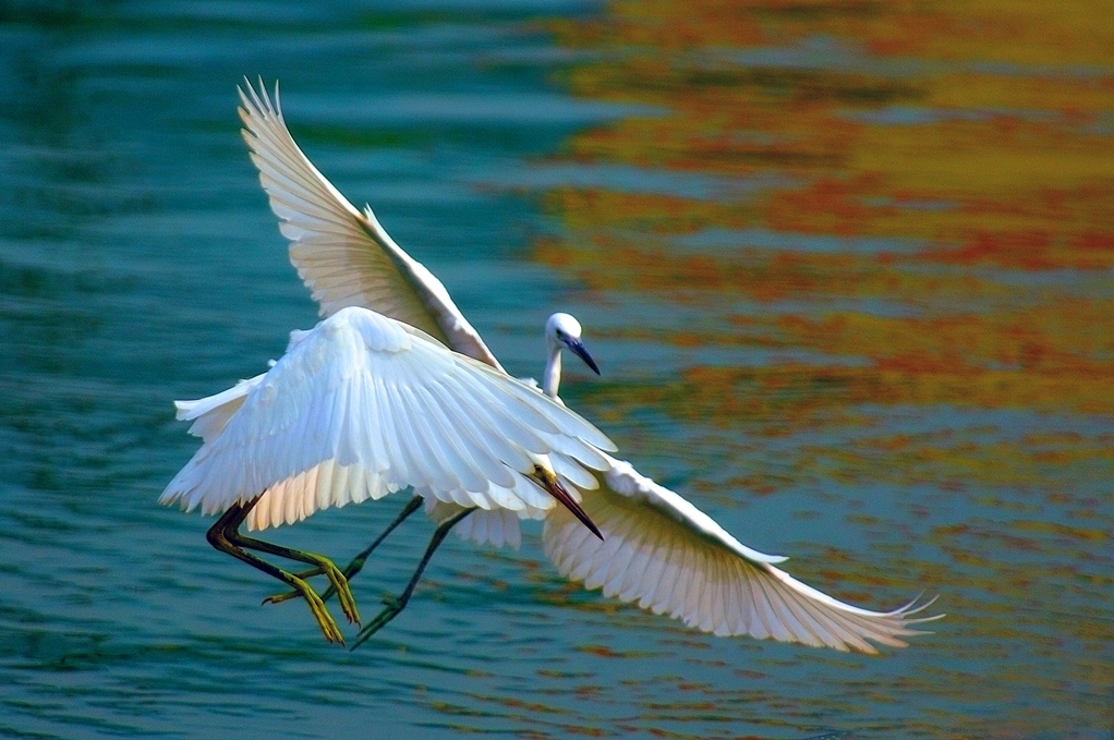 304��������-www.3044.com|�������