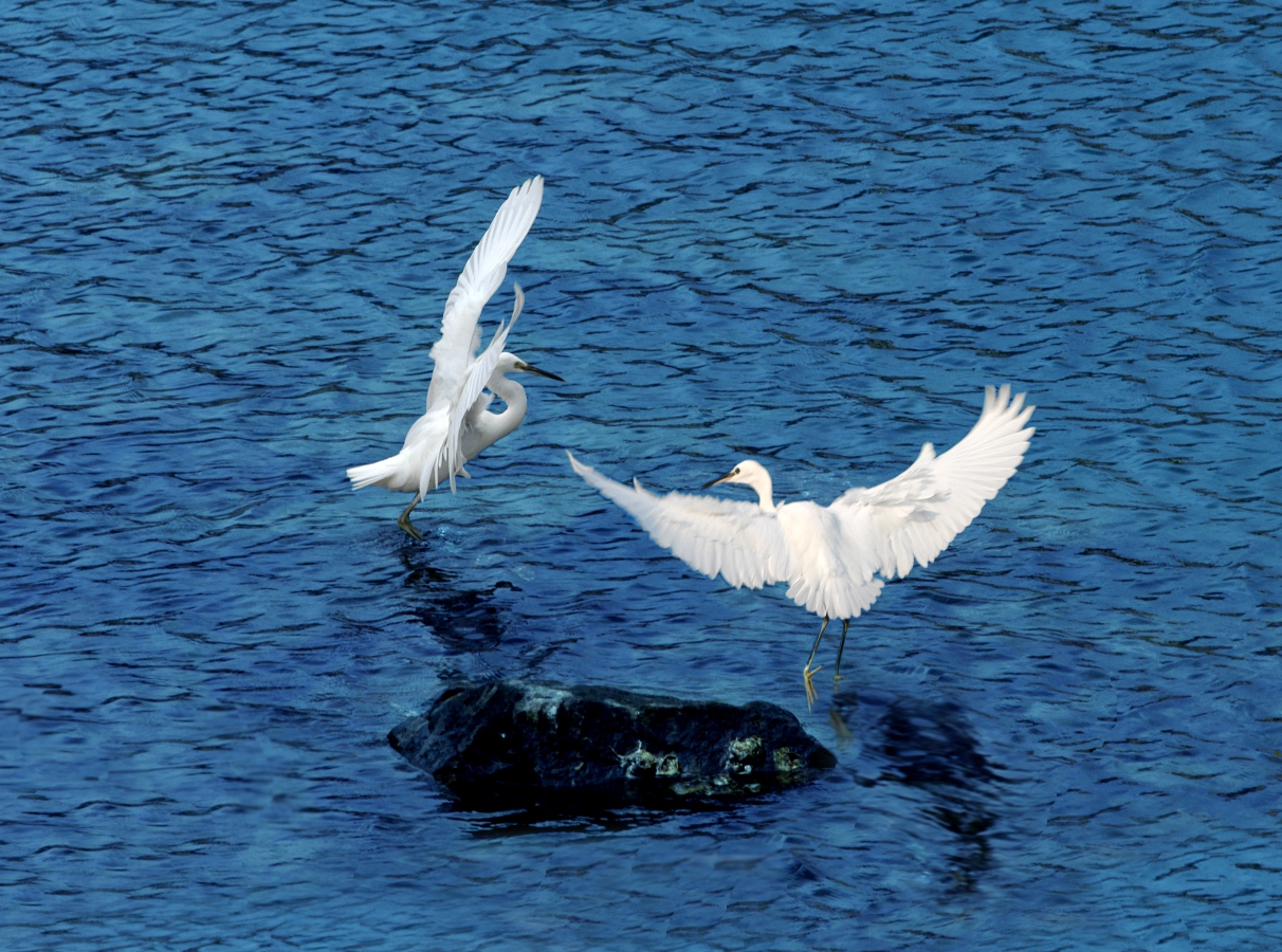 304��������-www.3044.com|�������