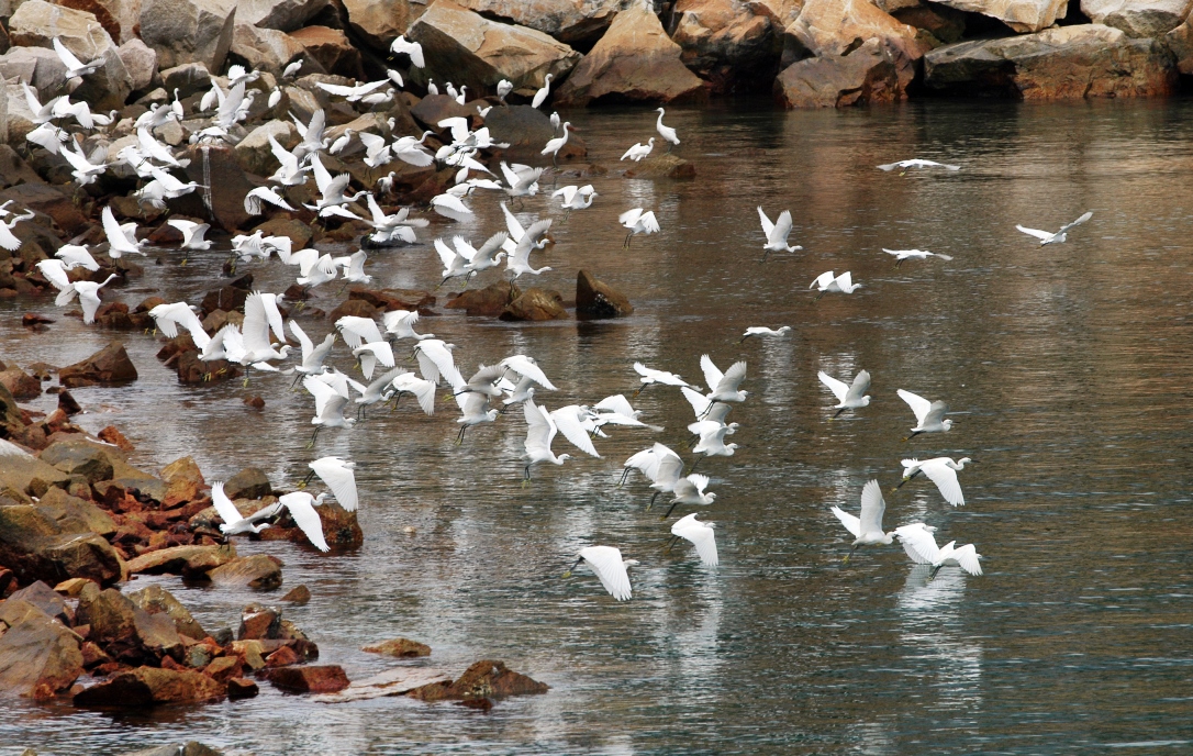 304��������-www.3044.com|�������