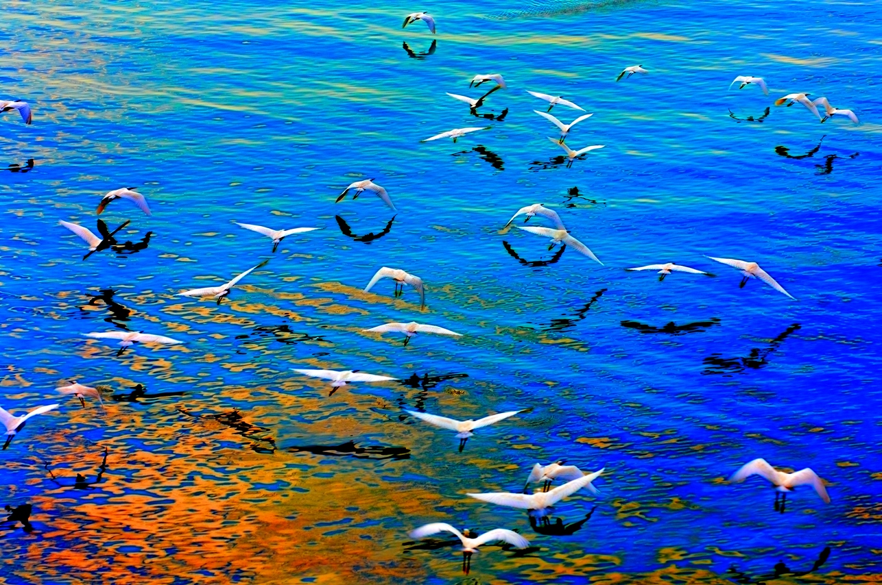 304��������-www.3044.com|�������