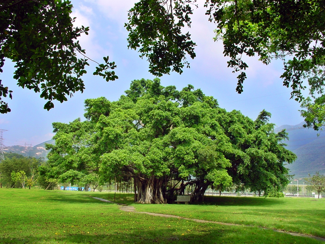 304��������-www.3044.com|�������