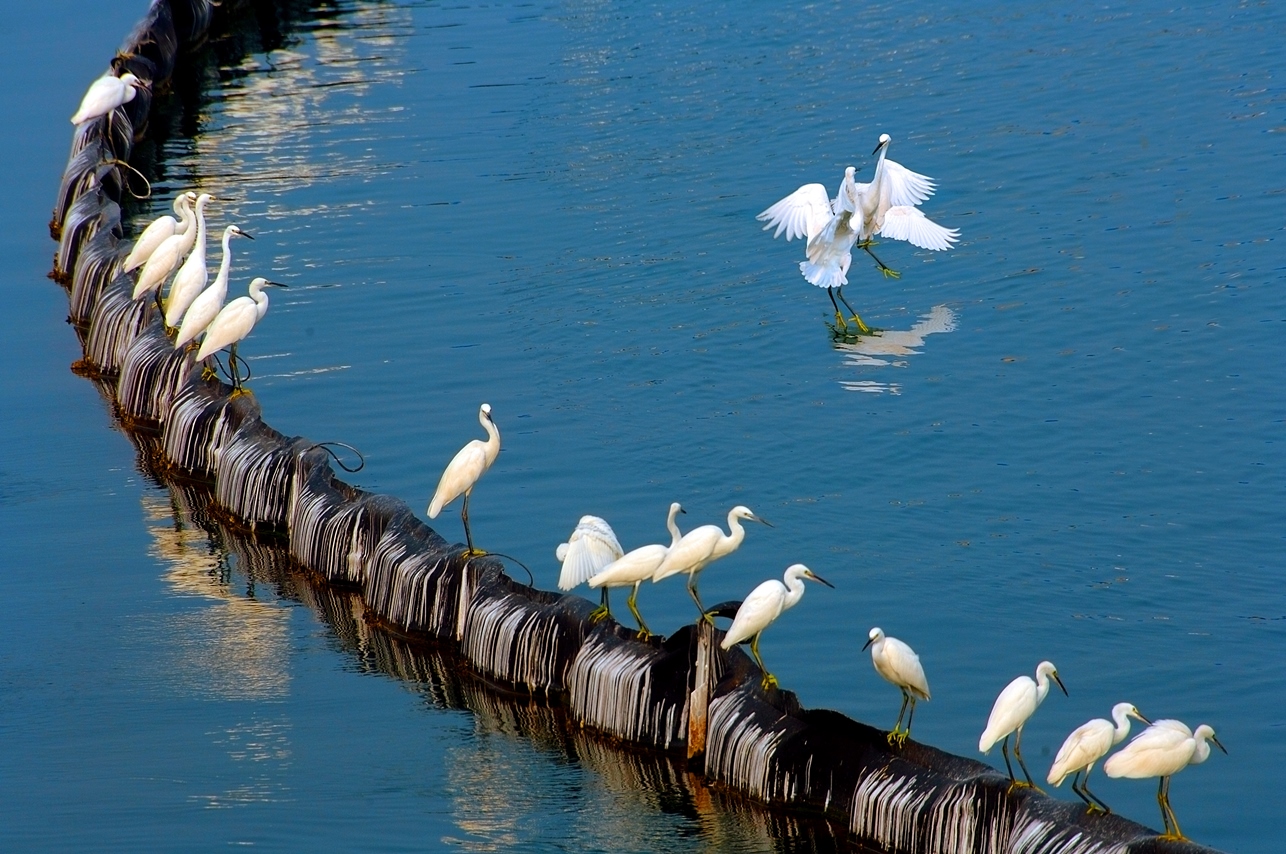 304��������-www.3044.com|�������